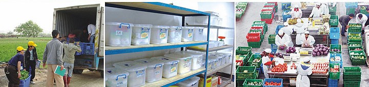 配送中心，食堂配送，食材配送